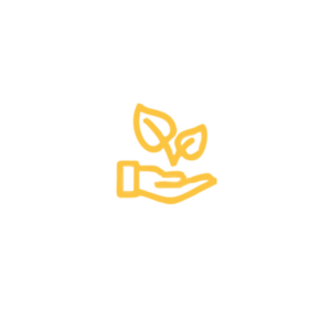Liderazgo moral o ambiental